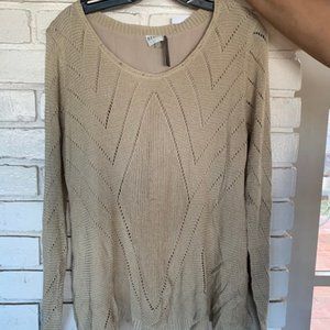 Brand Named Clothing